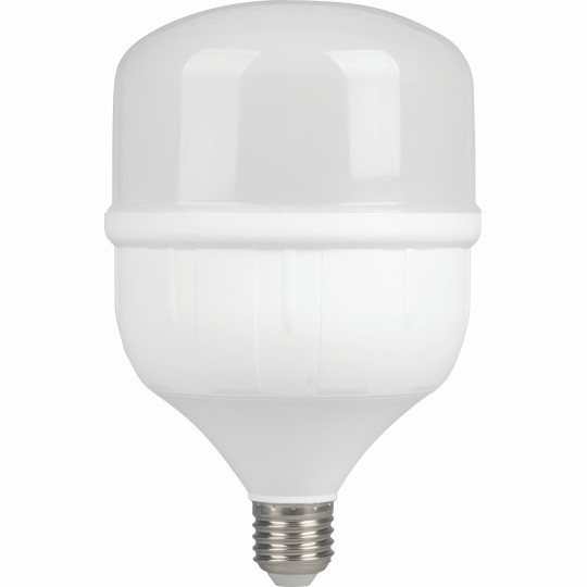 Sijalica LED E27 40W 6500K ECO 170-240V 3400L 118x186mm — slika 1
