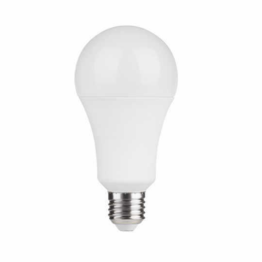 Sijalica LED E27  24W  6500K  A90   LED ECO 220-240V Mitea — slika 1