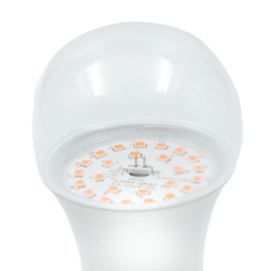 Sijalica LED  Plant Botanic E27 PG 9W A60  Mitea — slika 2