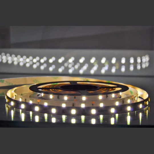 TRAKA LED MLR-2835-60 II bela 5m 12V 60 LED/1m IP20 4,8w/1met. Mitea Lighting — slika 1