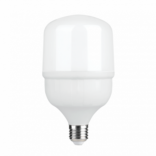 Sijalica LED E27 30W 6500K ECO 170-240V 2700L — slika 1