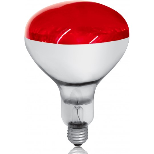 Sijalica Infra-crvena RUBIN sij. 250W 240V E27 Mitea Lighting — slika 1